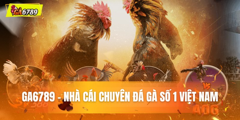 GA6789 - Trang Chủ Đá Gà Trực Tuyến #1 Việt Nam +88USD 6 Tổng quan về thương hiệu GA6789 hàng đầu